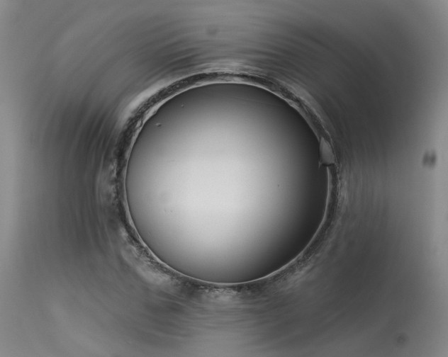 X0000113610971200909251138