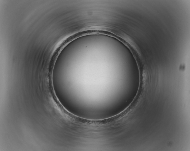 X0000113610972200909251138