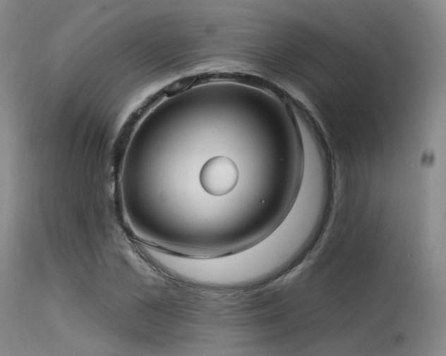 X0000113610973200909251138