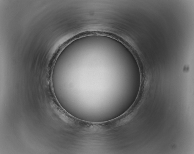 X0000113610974200909251138