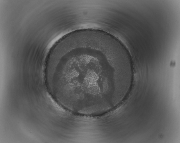 X0000113610975200909251138