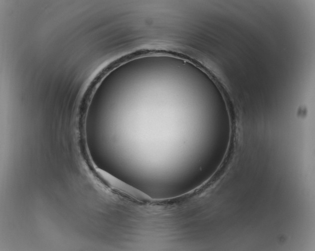 X0000113610976200909251138