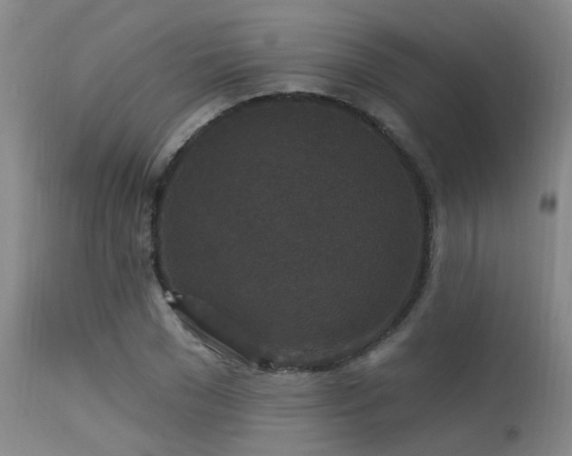 X0000113610977200909251138