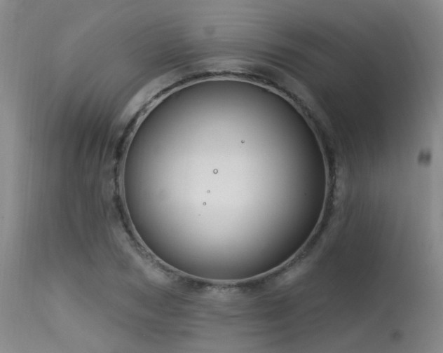 X0000113610978200909251138