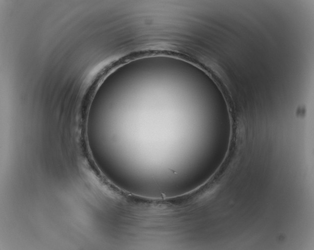 X0000113610979200909251138