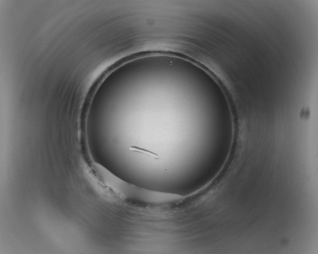 X0000113610980200909251138