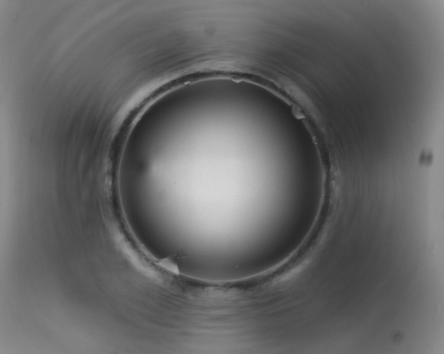 X0000113610981200909251138