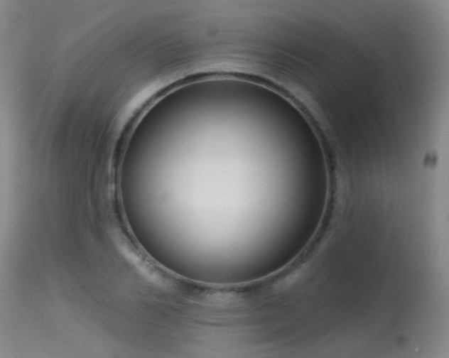 X0000113610982200909251138