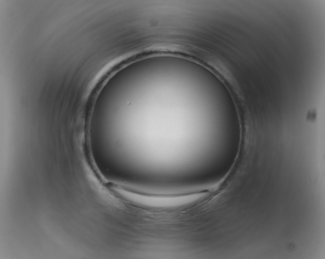 X0000113610984200909251138