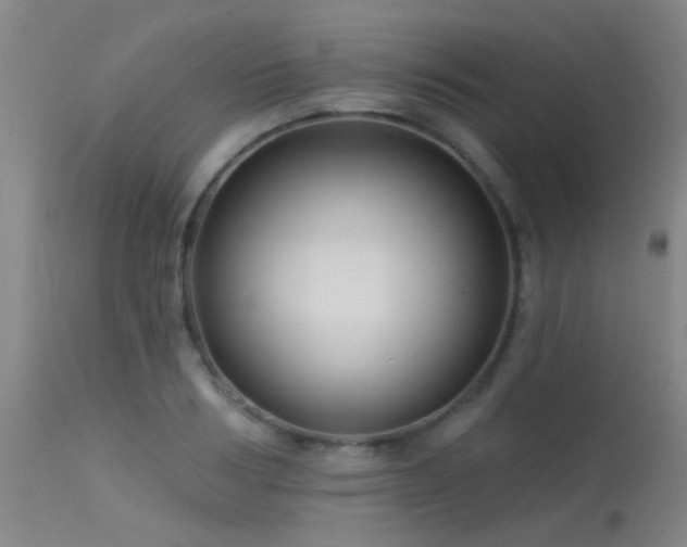 X0000113610986200909251138