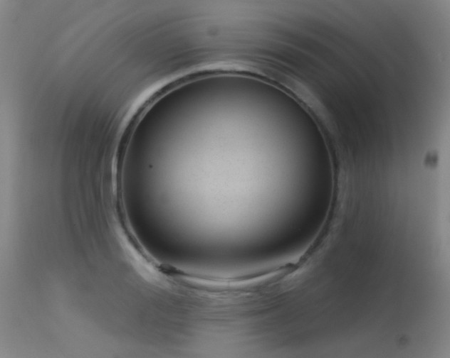 X0000113610988200909251138