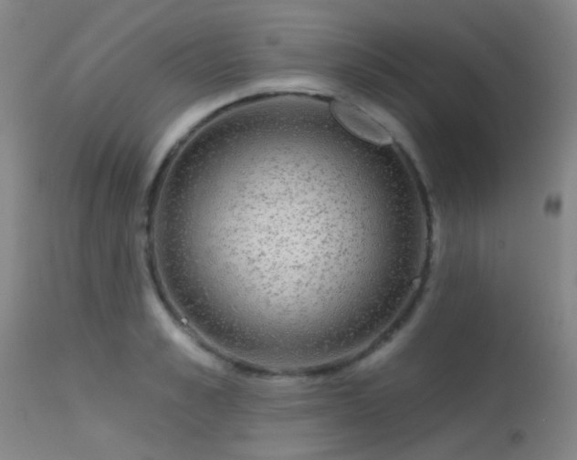 X0000113610989200909251138