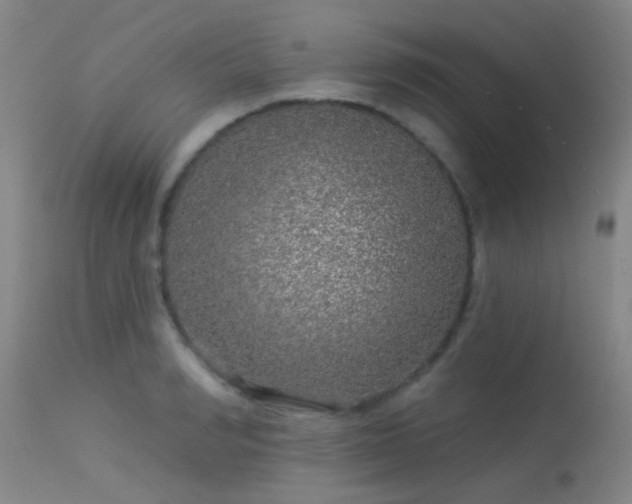 X0000113610990200909251138