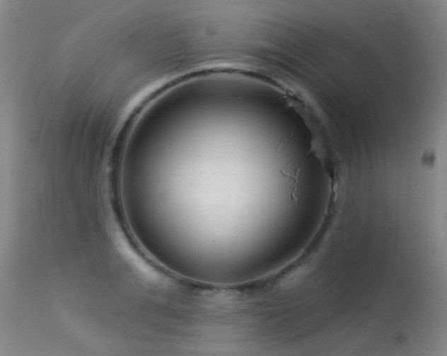 X0000113610991200909251138