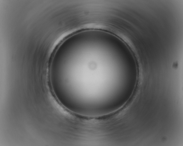 X0000113610992200909251138