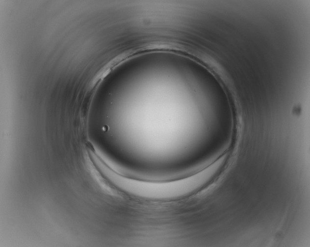 X0000113610993200909251138