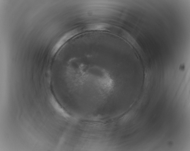 X0000113610994200909251138