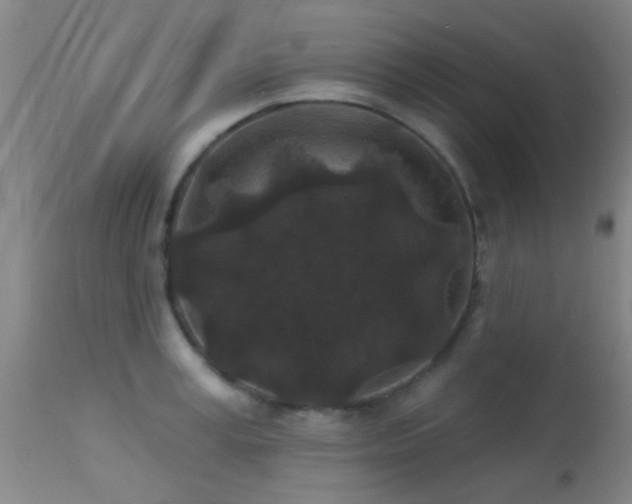 X0000113610995200909251138