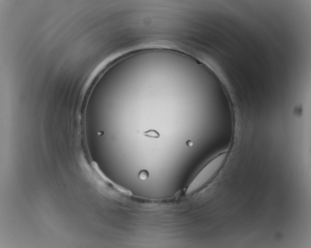 X0000113610996200909251138