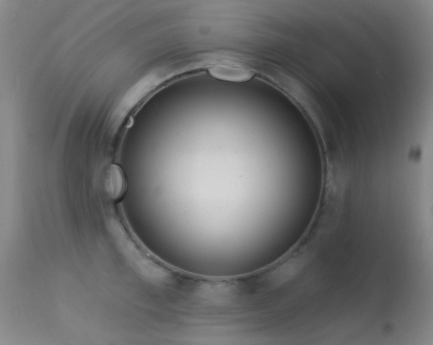 X0000113610997200909251138