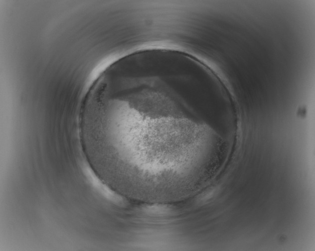 X0000113610998200909251138