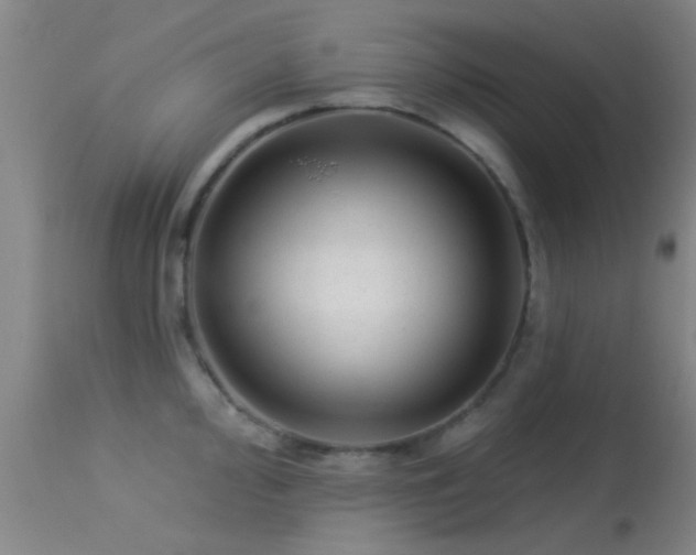 X0000113611000200909251138