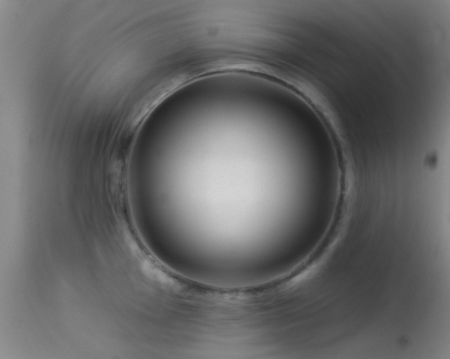 X0000113611001200909251138