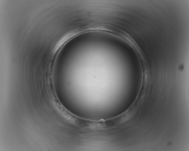 X0000113611002200909251138