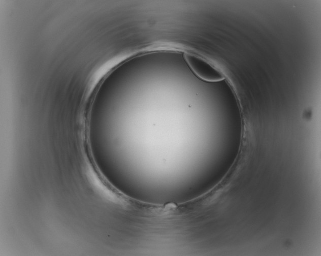 X0000113611003200909251138