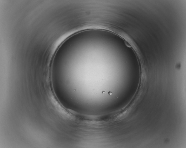 X0000113611004200909251138