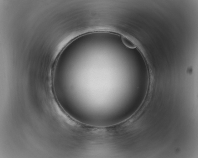 X0000113611006200909251138