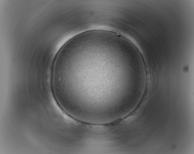 X0000113611007200909251138