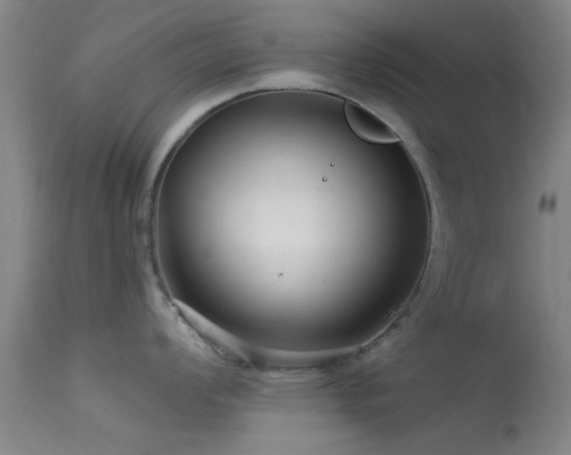 X0000113611008200909251138