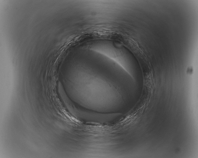 X0000113611009200909251137