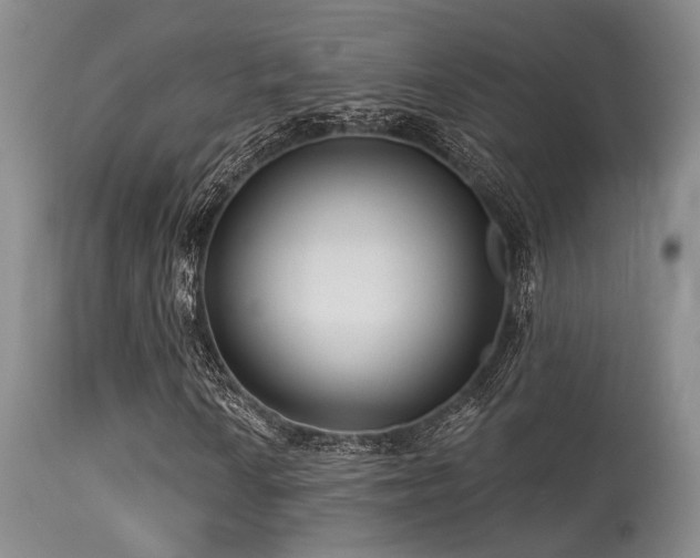 X0000113611010200909251137