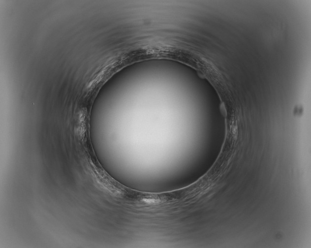 X0000113611012200909251137