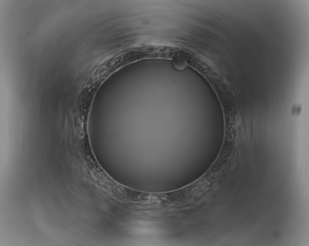 X0000113611013200909251137