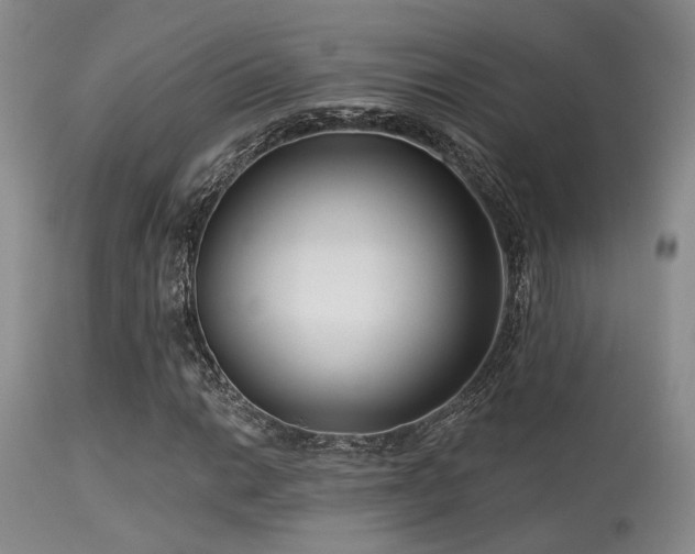 X0000113611014200909251137