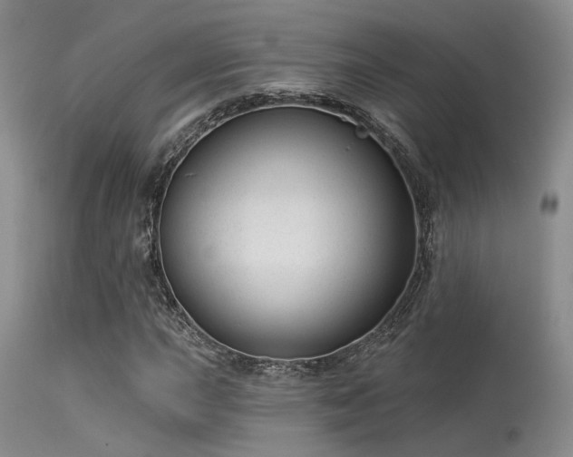 X0000113611015200909251137