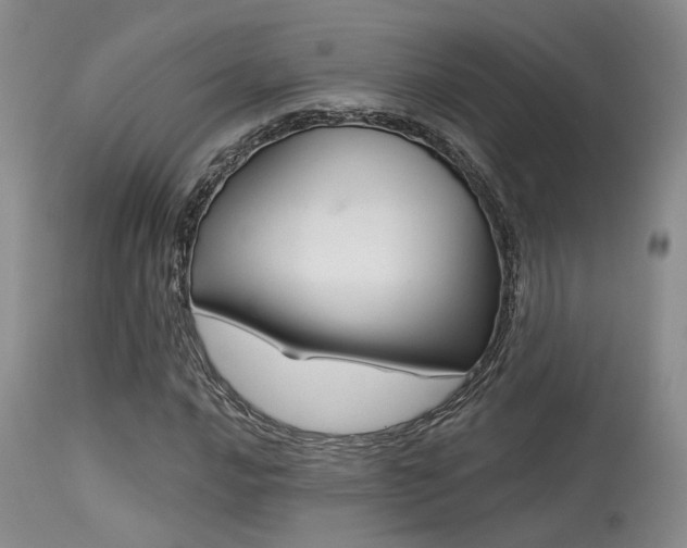 X0000113611016200909251137