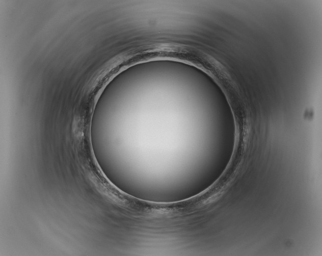 X0000113611017200909251137