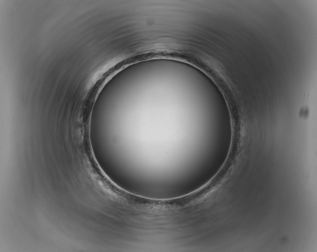 X0000113611018200909251137