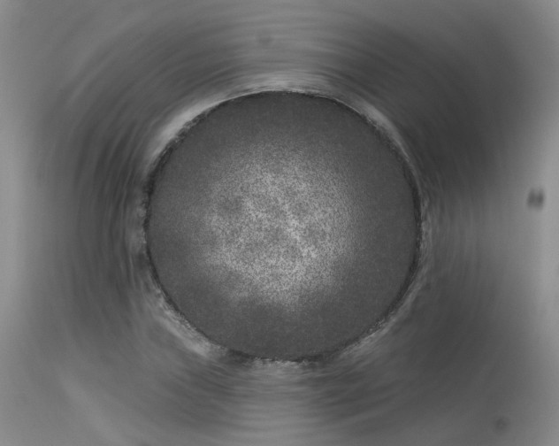 X0000113611019200909251137