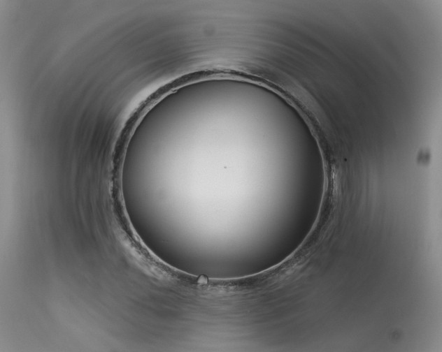 X0000113611020200909251137