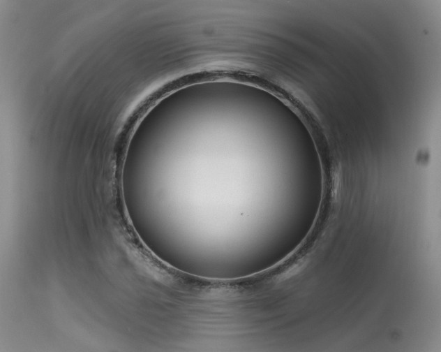 X0000113611021200909251137