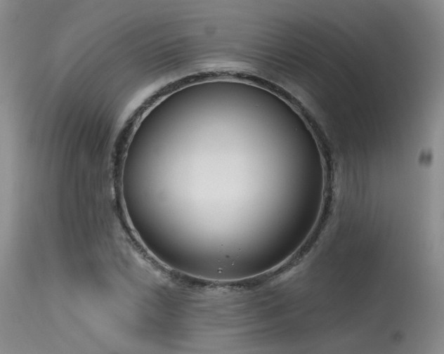 X0000113611022200909251137