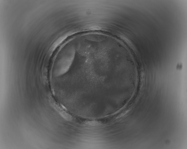 X0000113611023200909251137