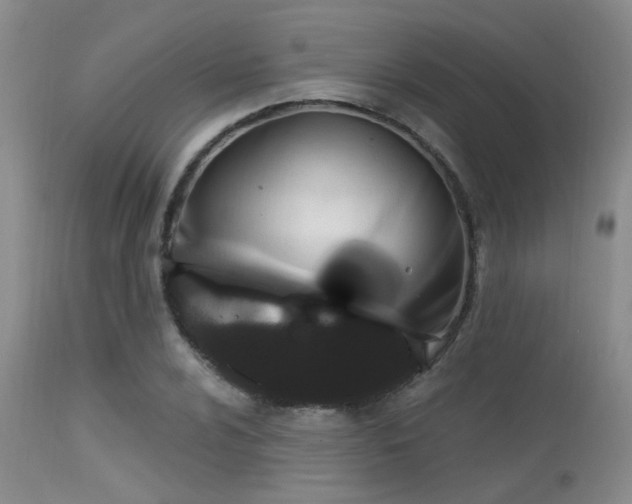 X0000113611024200909251137