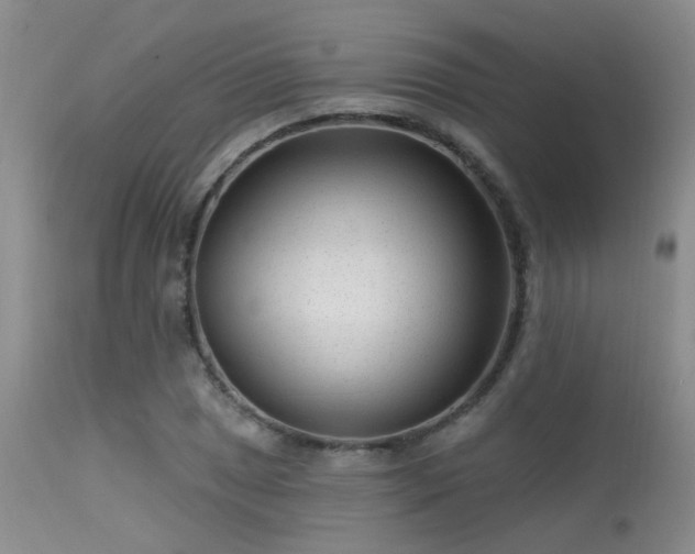 X0000113611025200909251137