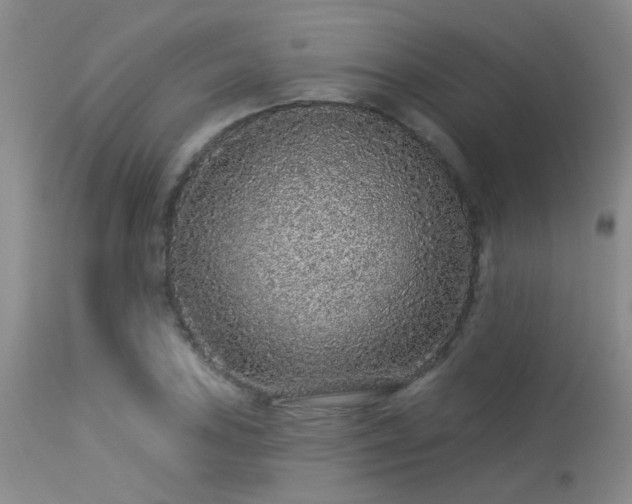 X0000113611027200909251137